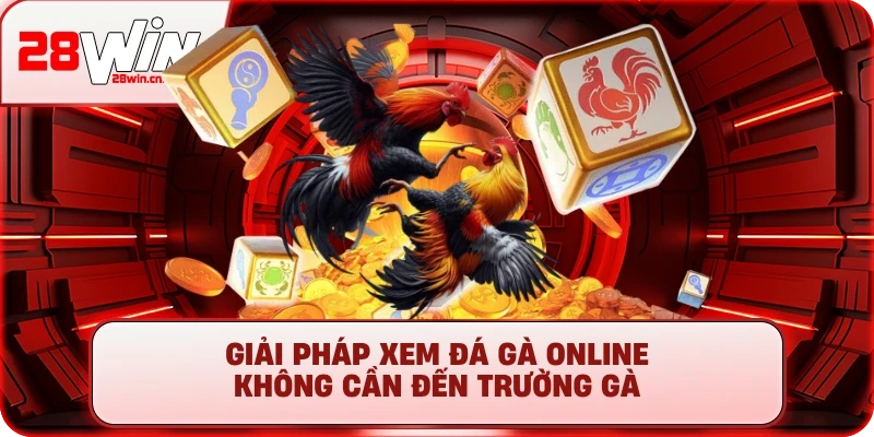 Đá Gà Online - Kinh Nghiệm Chơi Thắng Lớn Tại 28Win 1 Giải pháp xem đá gà online không cần đến trường gà